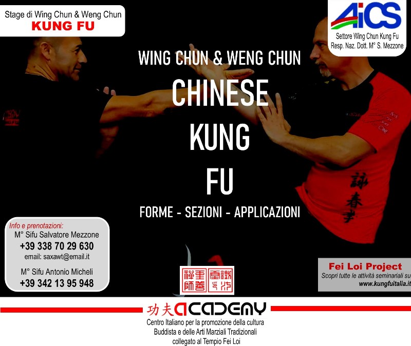 3  Fei Loi Project Kung Fu seminars Arti marziali cinesi Cina Italia wing chun Ip Man, weng chun Tang Yik, Chi Kung